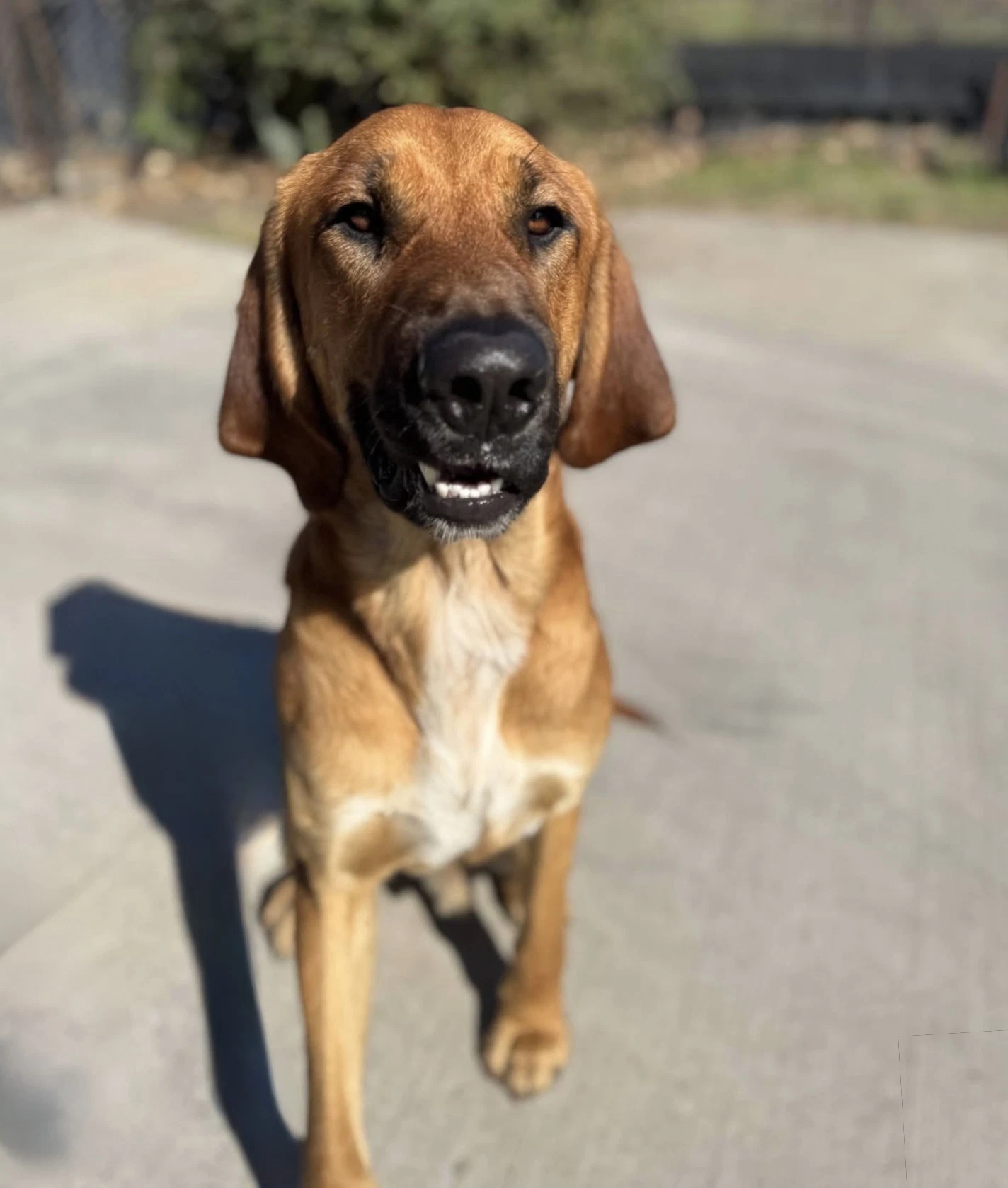 Edgar