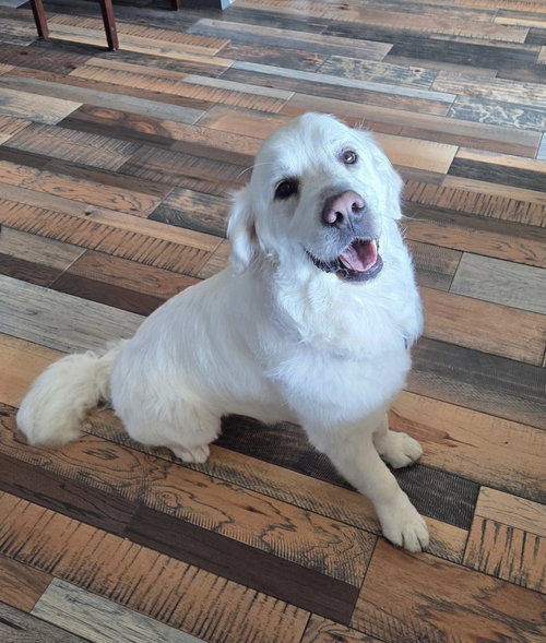 Duke