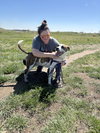 Stix  Sponsored Adoption Fee - Photo 5