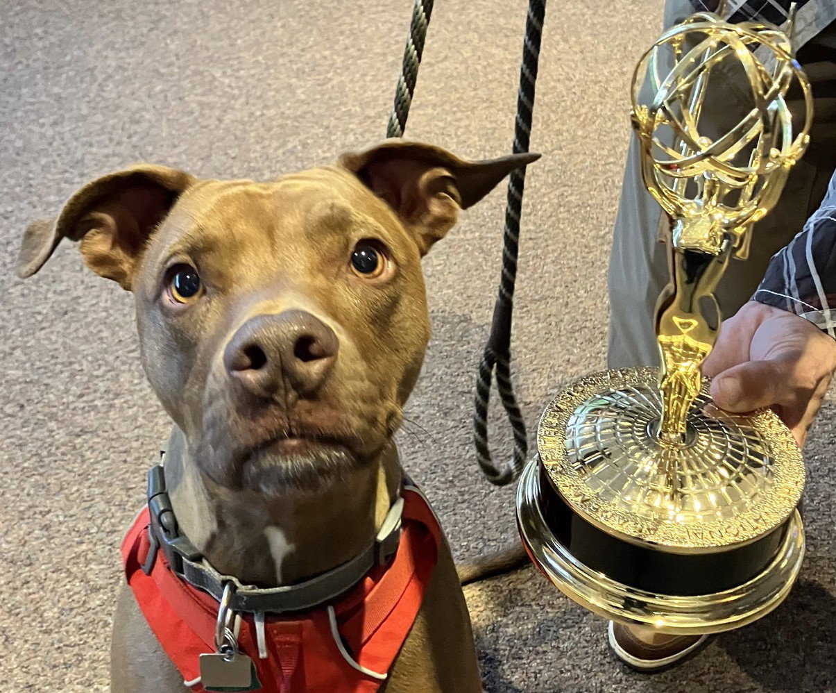 Rufus Sponsored Adoption Fee