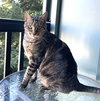 Cleo - Photo 1
