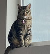 Cleo - Photo 2