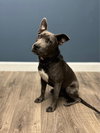 Grey - Photo 22