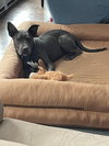 Grey - Photo 23