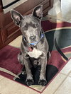 Grey - Photo 24