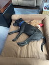Grey - Photo 25