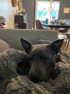 Grey - Photo 18