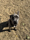 Grey - Photo 15