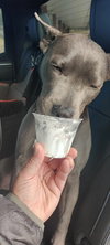 Grey - Photo 9
