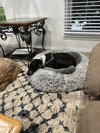 Waldo - Photo 19
