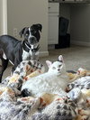 Waldo - Photo 10