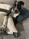 Waldo - Photo 9