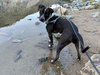 Waldo - Photo 16