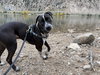 Waldo - Photo 11