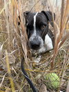 Waldo - Photo 8