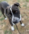 Waldo - Photo 6