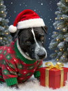 Waldo - Photo 7