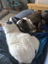 Waldo - Photo 3