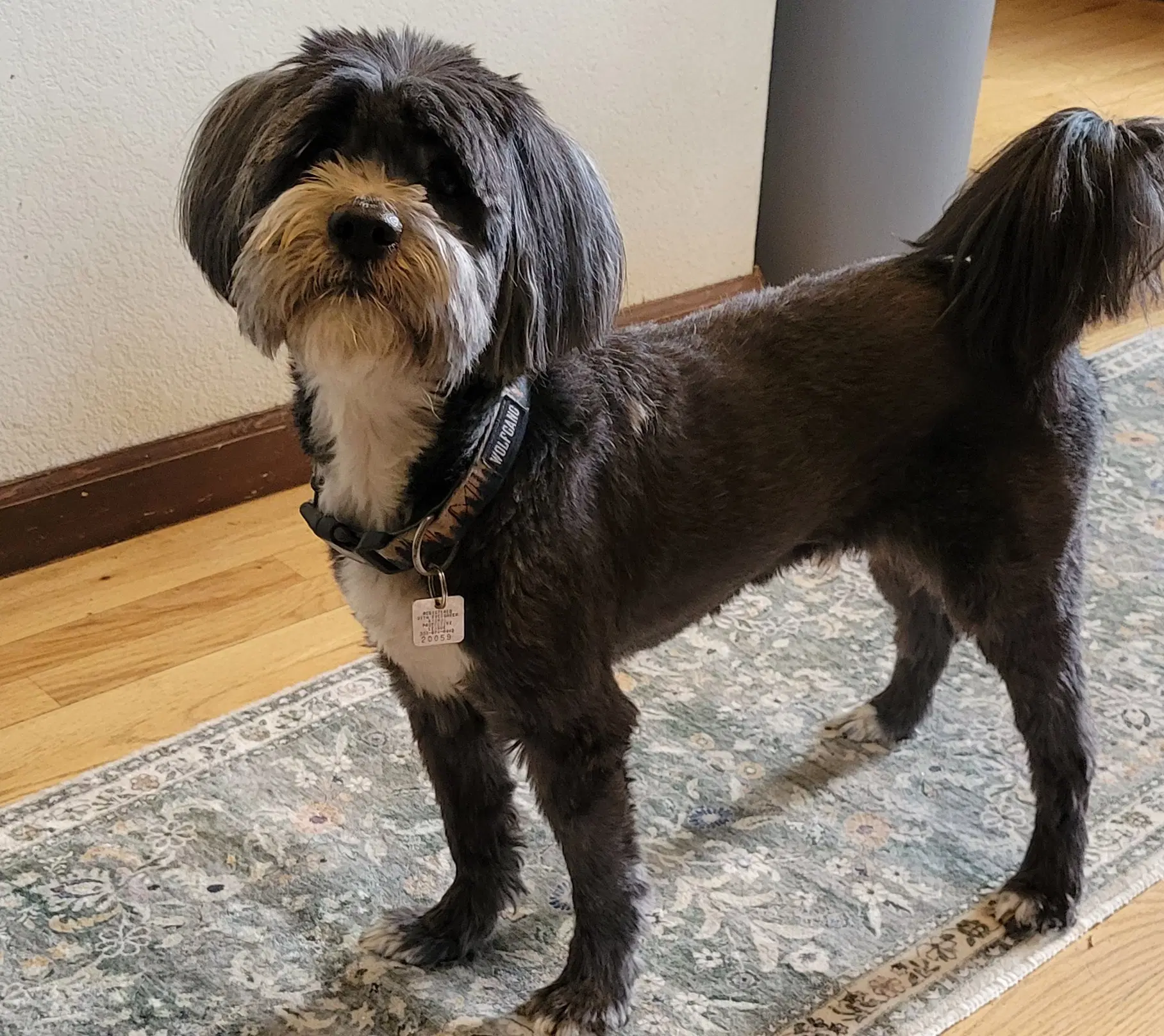 Reggie image 3