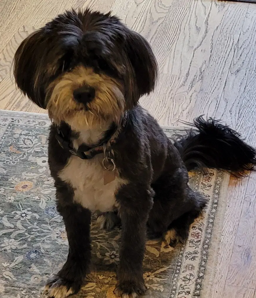 Reggie image 4