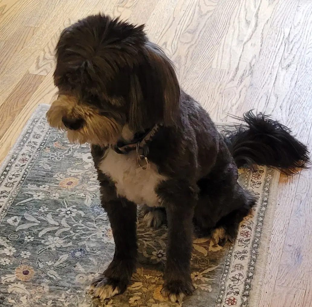 Reggie image 2