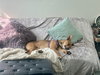 Dreamy - Photo 11