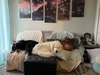 Dreamy - Photo 16