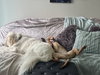 Dreamy - Photo 18