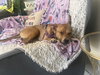 Dreamy - Photo 8