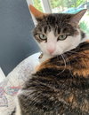 Mary Jane - Photo 2