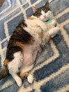 Mary Jane - Photo 3
