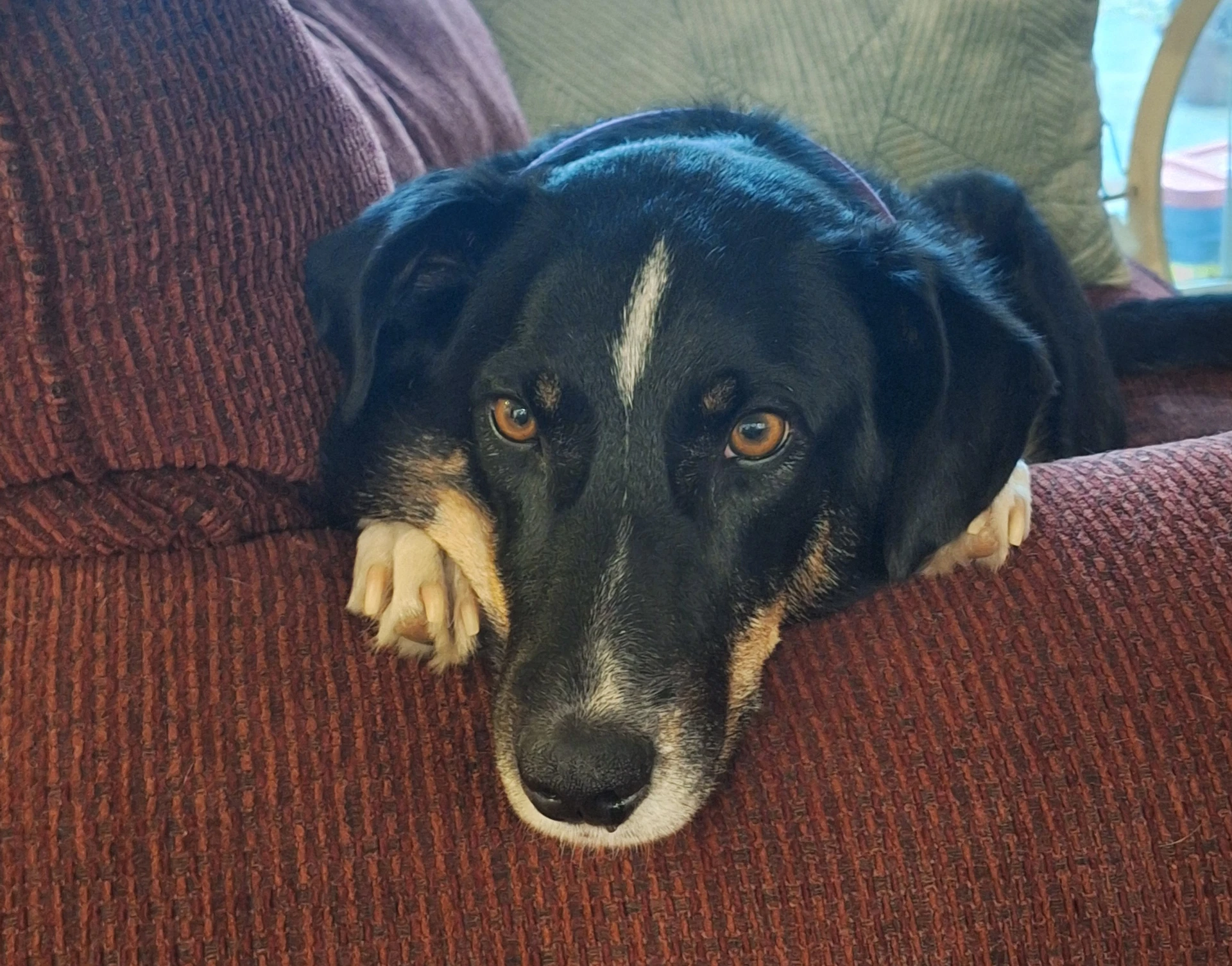 Lily