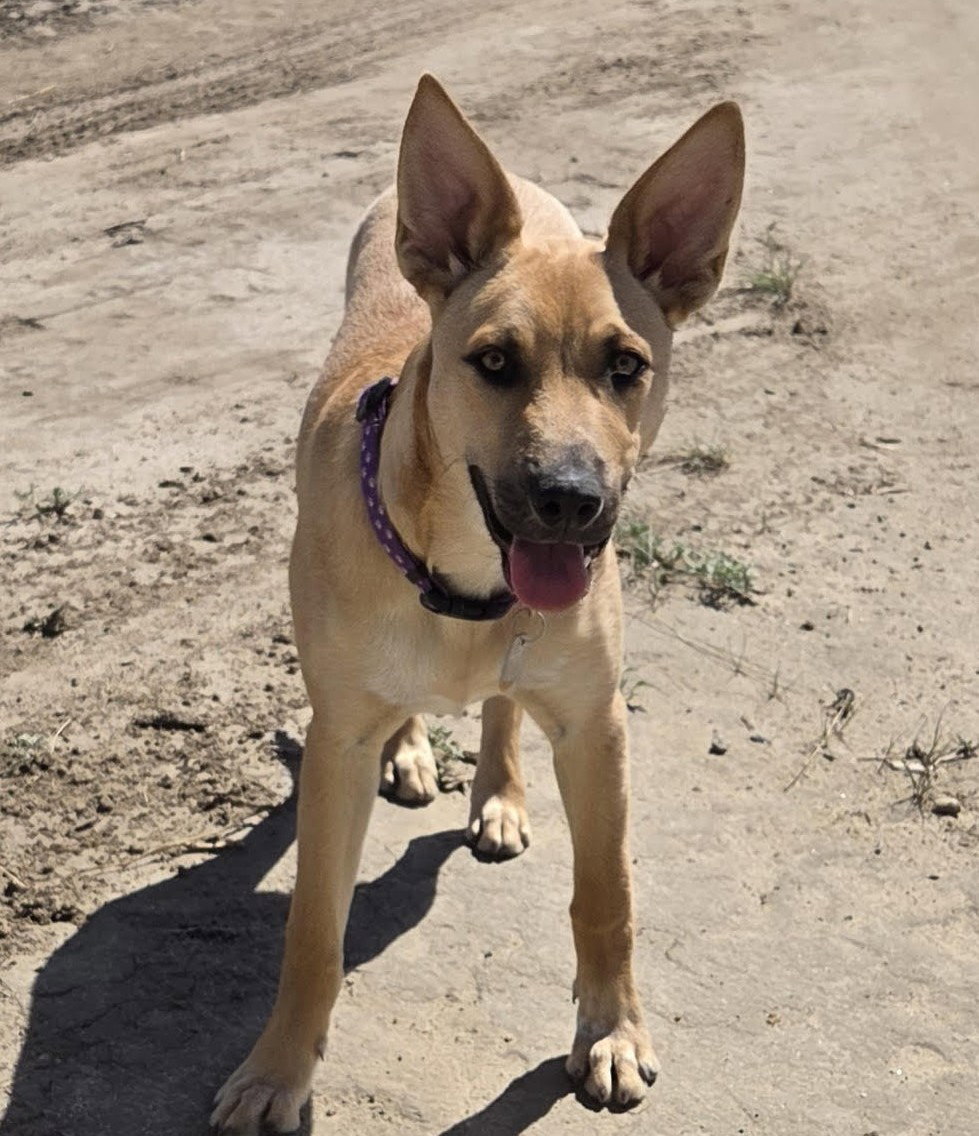 Marlee Image