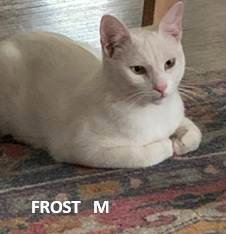 Frost