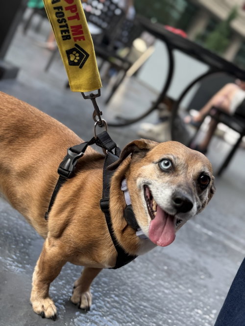 Mia photo 1