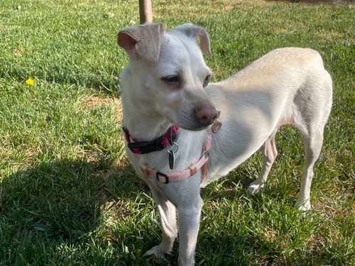Emma photo 2