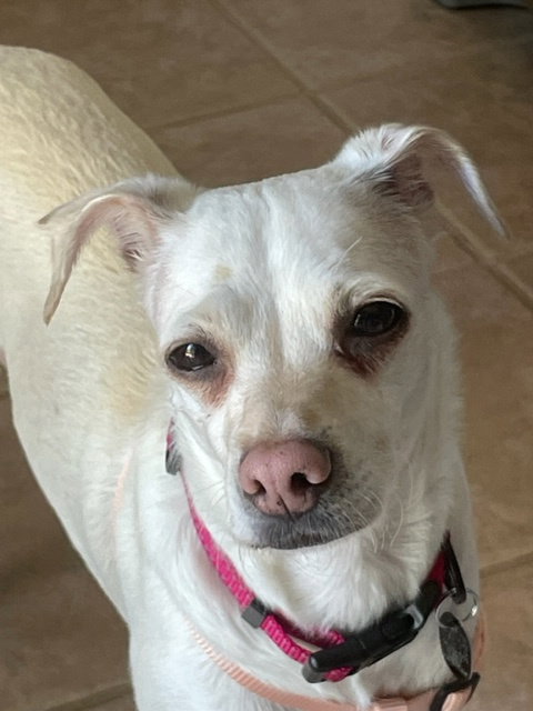 Emma photo 3