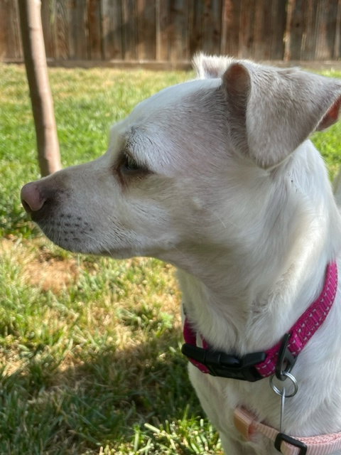 Emma photo 1