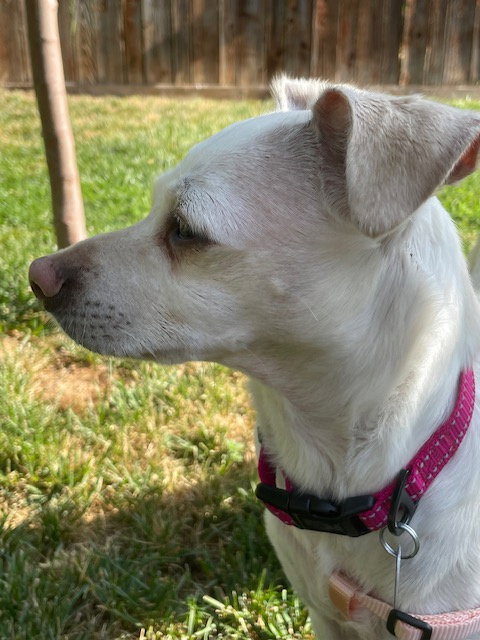 Emma photo 4