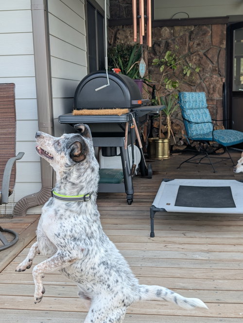 Patches photo 4