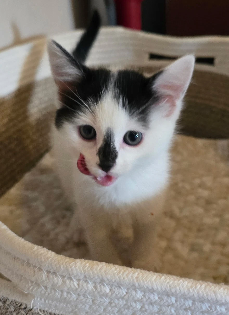 Minnie