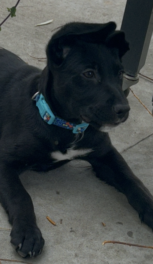 Bjorn photo 3