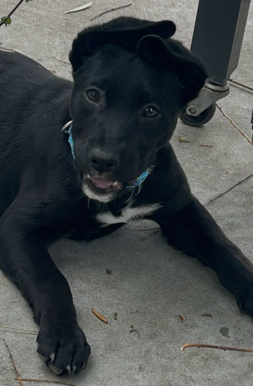 Bjorn photo 5