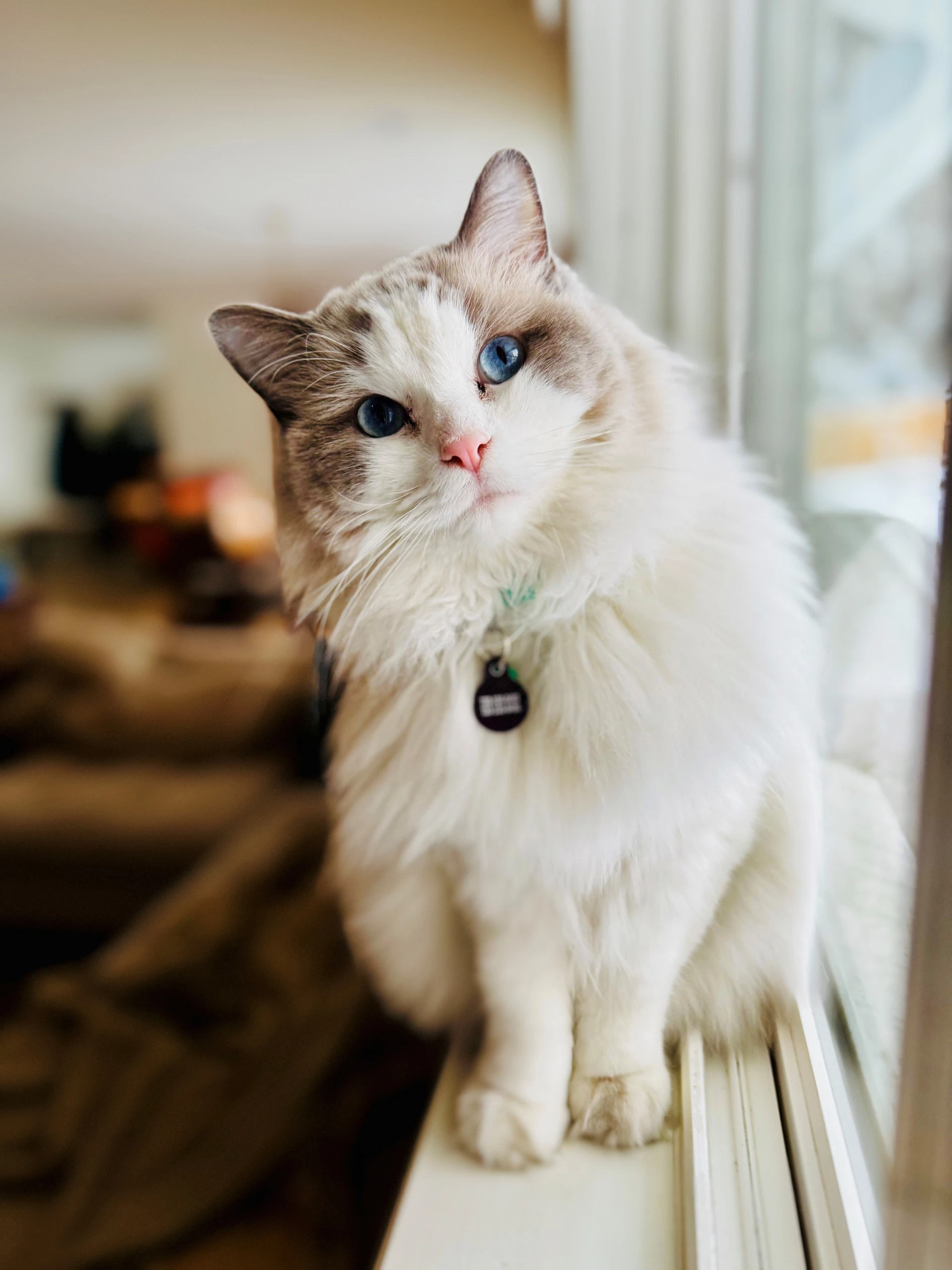 Odin