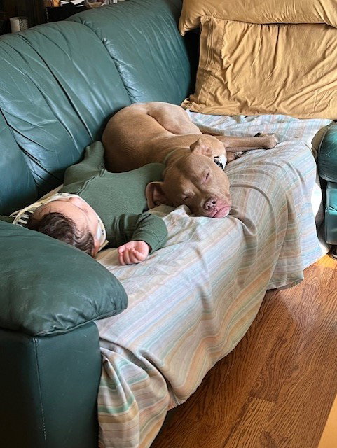 Snoop- OS *Adoption Fee Waived*, photo 8
