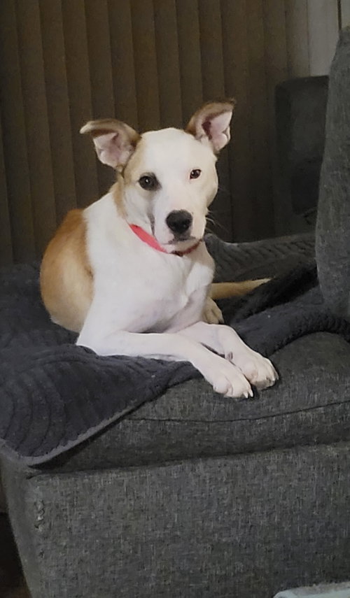 Freya