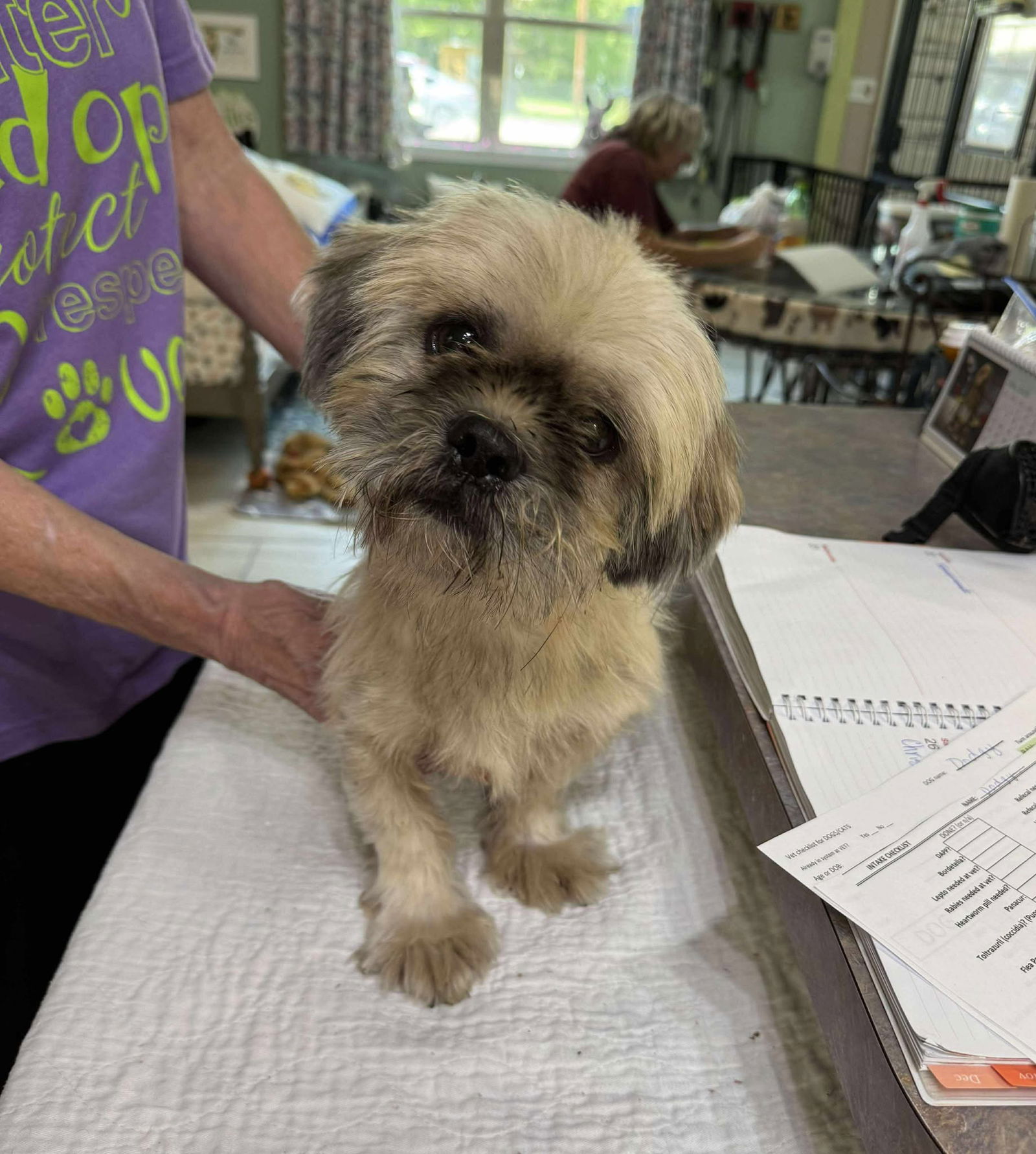 adoptable Dog in Benton, LA named Dodgy (NOT YET AVAILABLE)