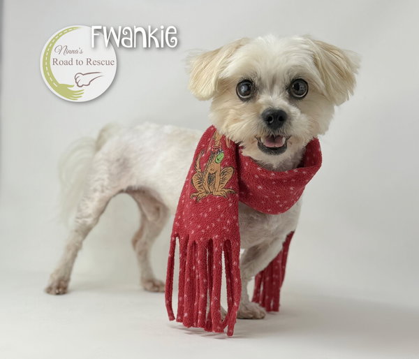 Fwankie