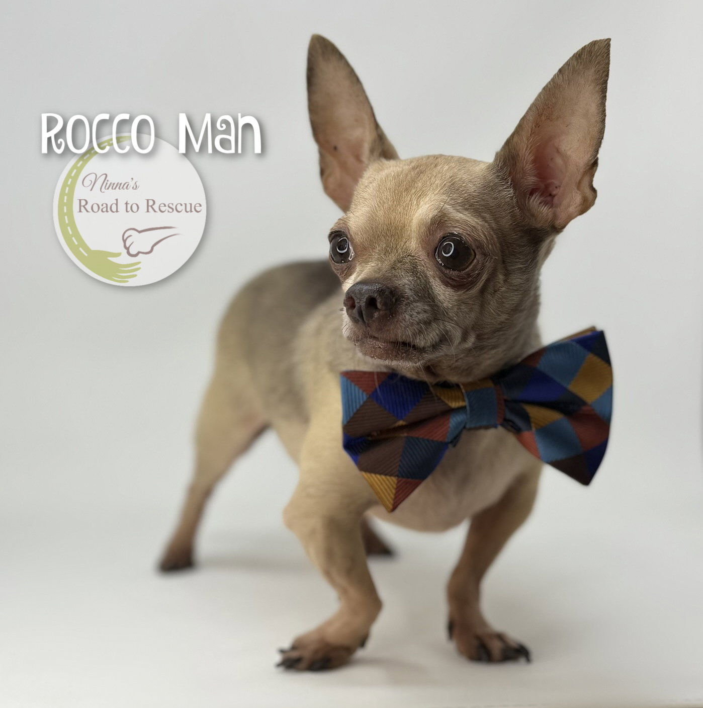 Rocco Man