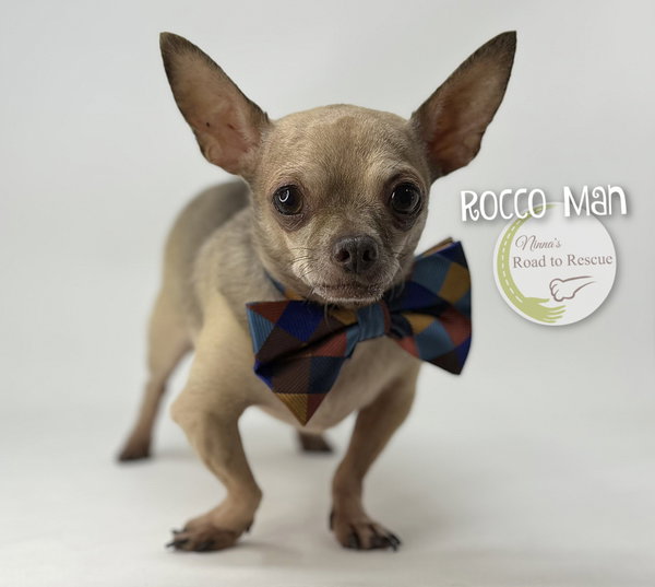 Rocco Man